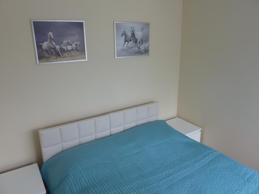 Apartament Zebra Świeradów-Zdrój 部屋 写真